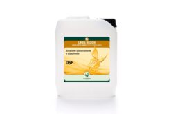 DSF disincrostante acido per gres e klinker