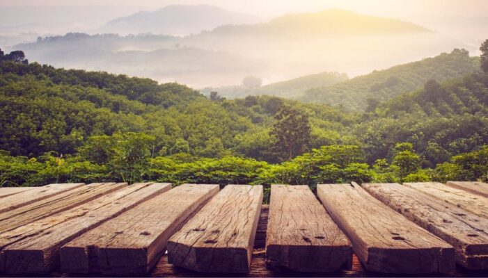 Finitura legno esterno