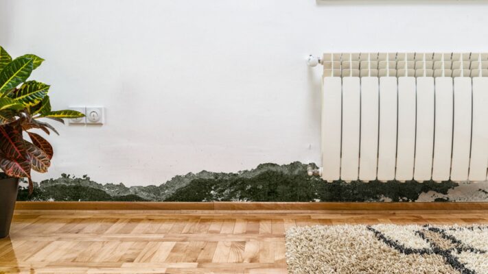 Come togliere la muffa dai muri