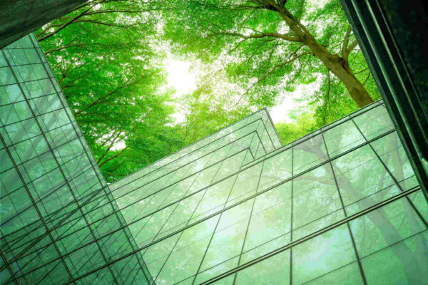 I 5 principi della bioedilizia