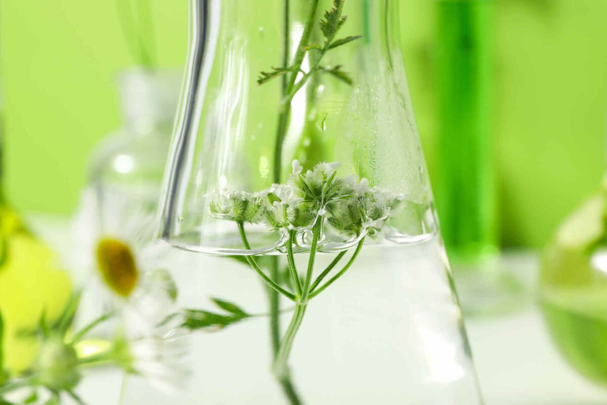 Pulizia della casa: prodotti naturali per ambiente e salute