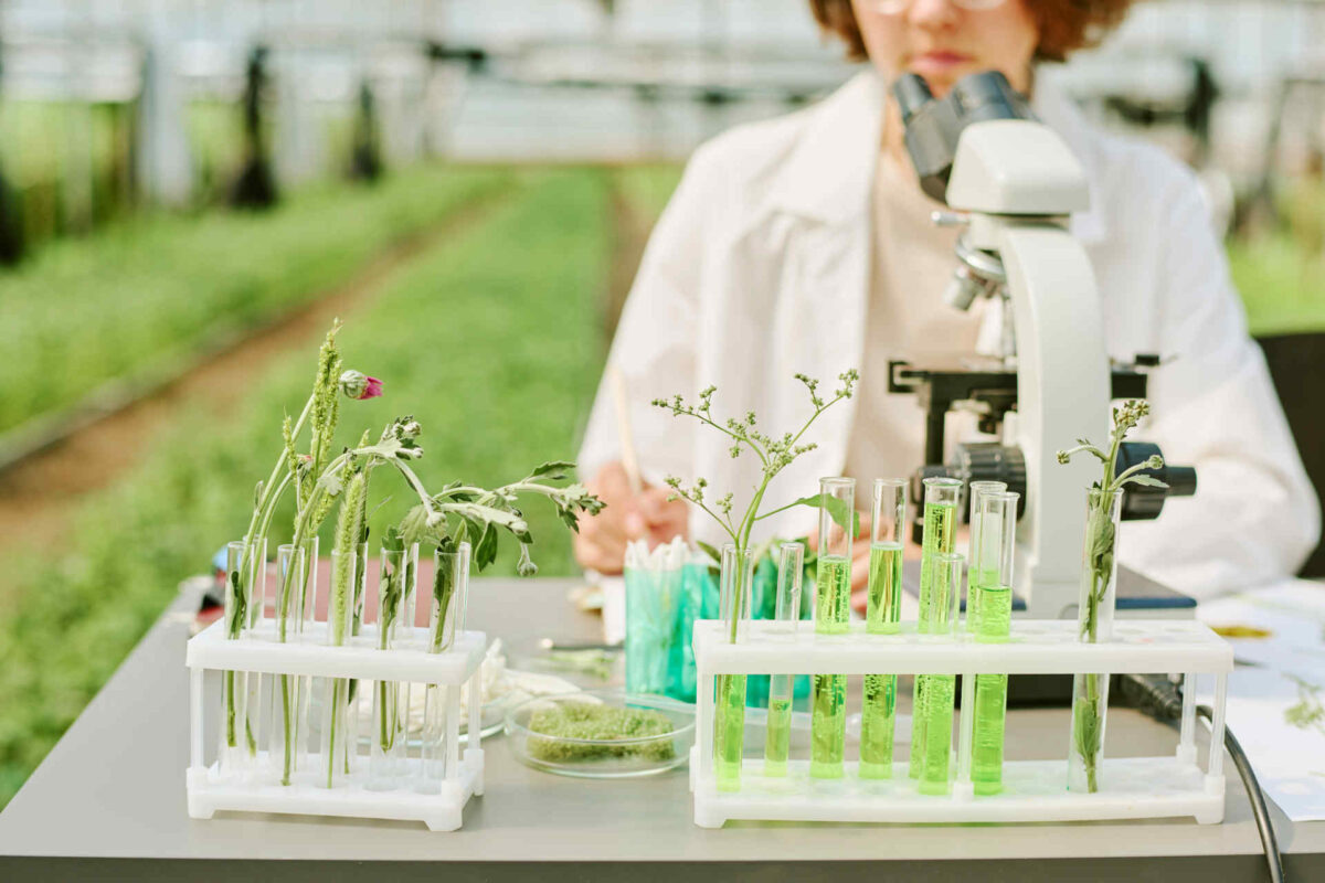 La green chemistry e i prodotti per la casa