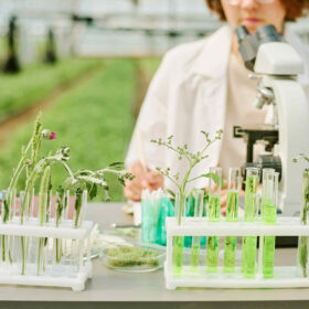 La green chemistry e i prodotti per la casa