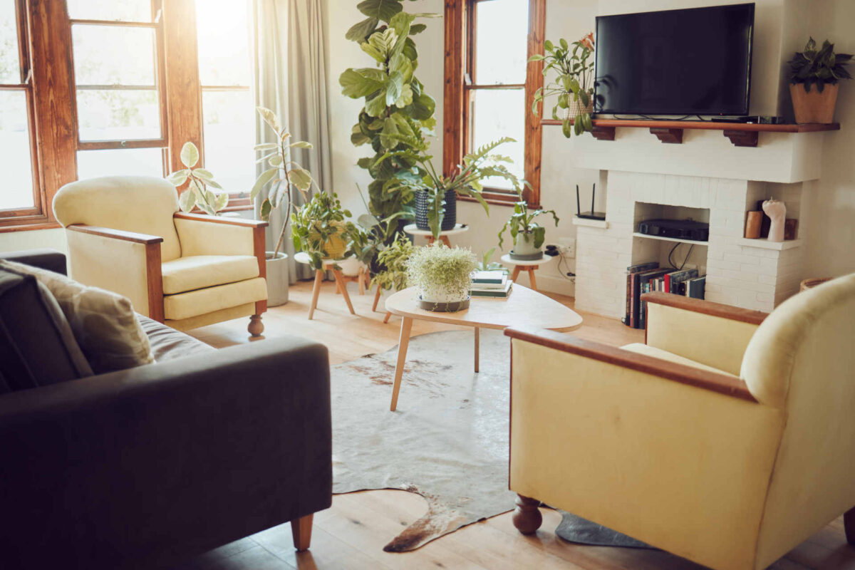 Chimica sostenibile e innovazione per la pulizia della casa