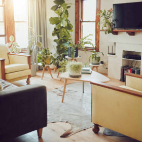 Chimica sostenibile e innovazione per la pulizia della casa