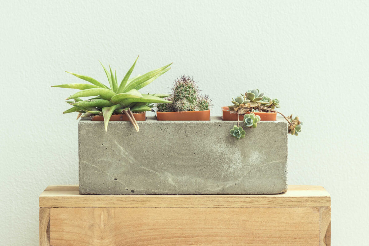 DIY sostenibile: le regole d'oro per legno e cemento