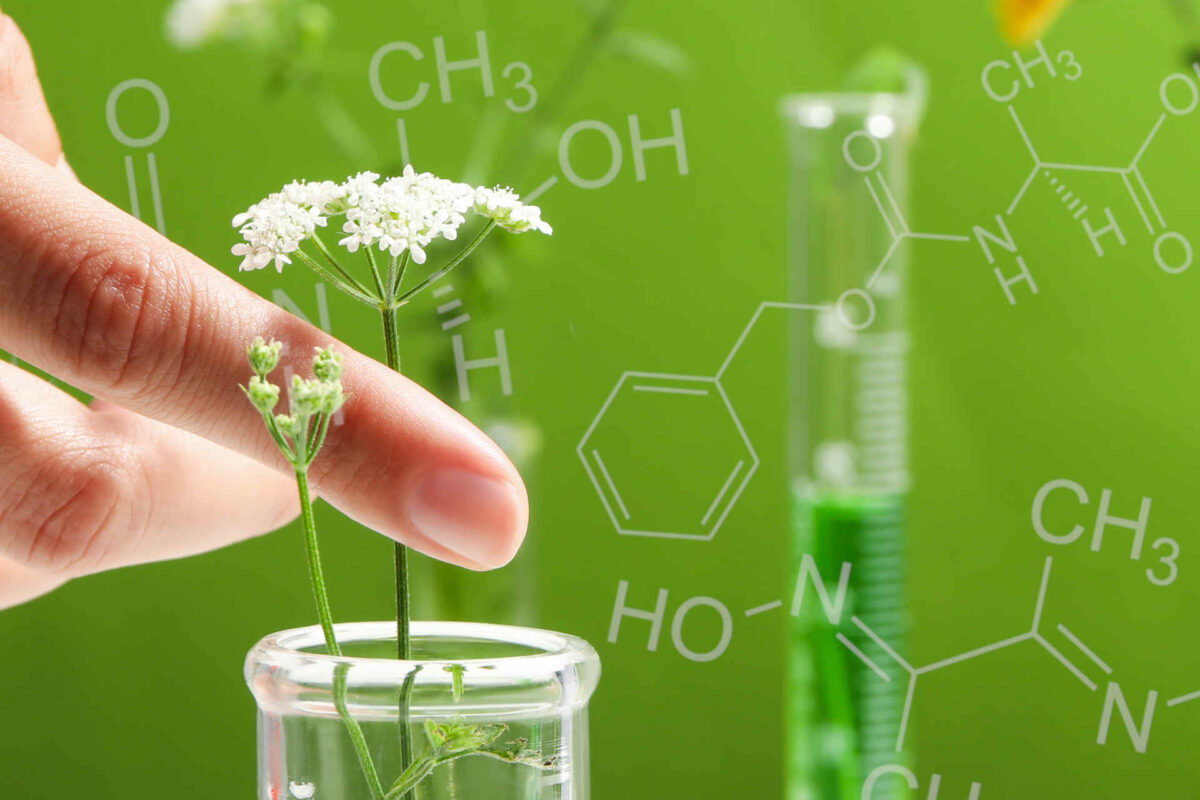 I principi della chimica verde nei prodotti di uso quotidiano