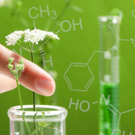 I principi della chimica verde nei prodotti di uso quotidiano