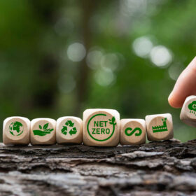 Il futuro della chimica verde